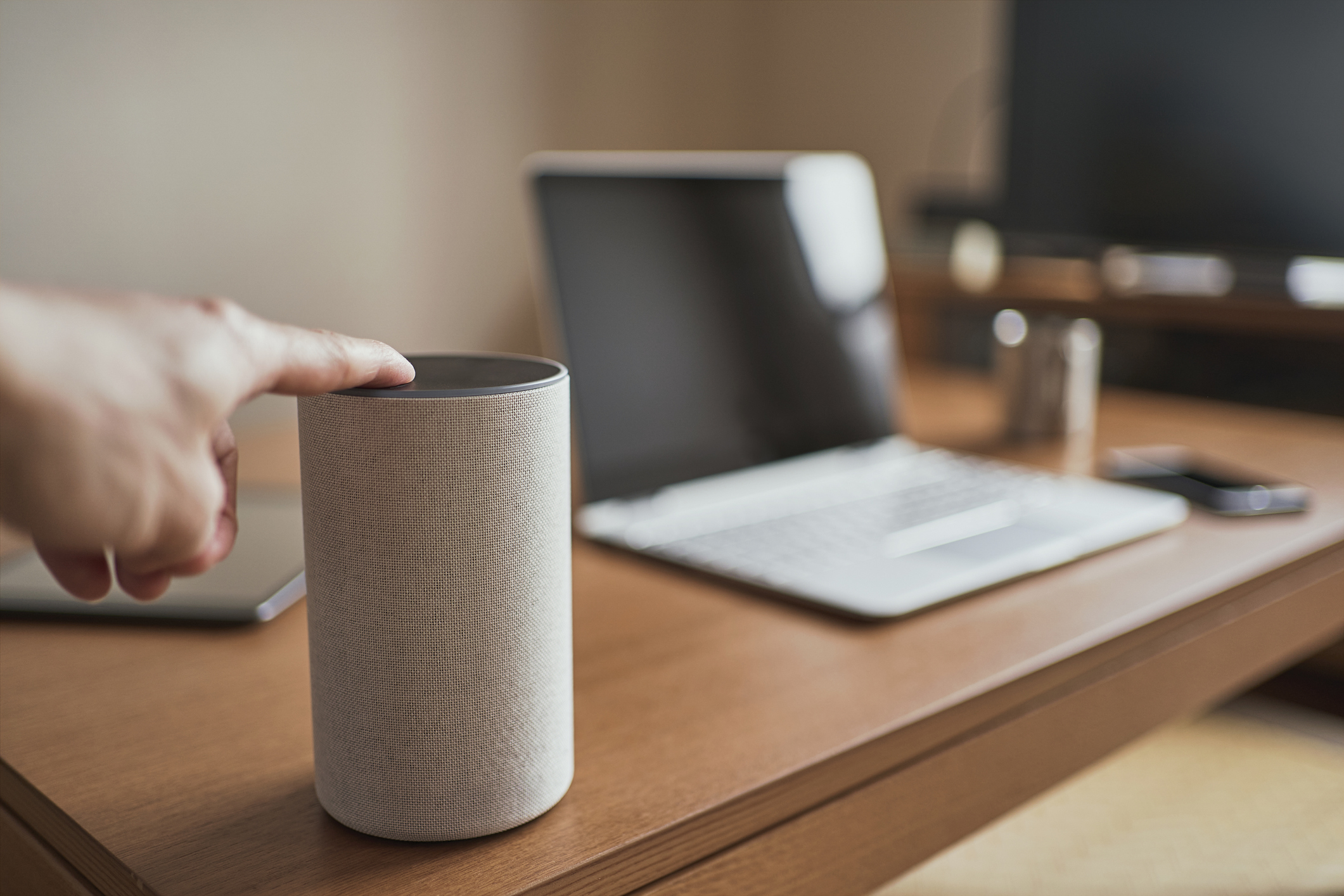 Working from home and Using a smart speaker