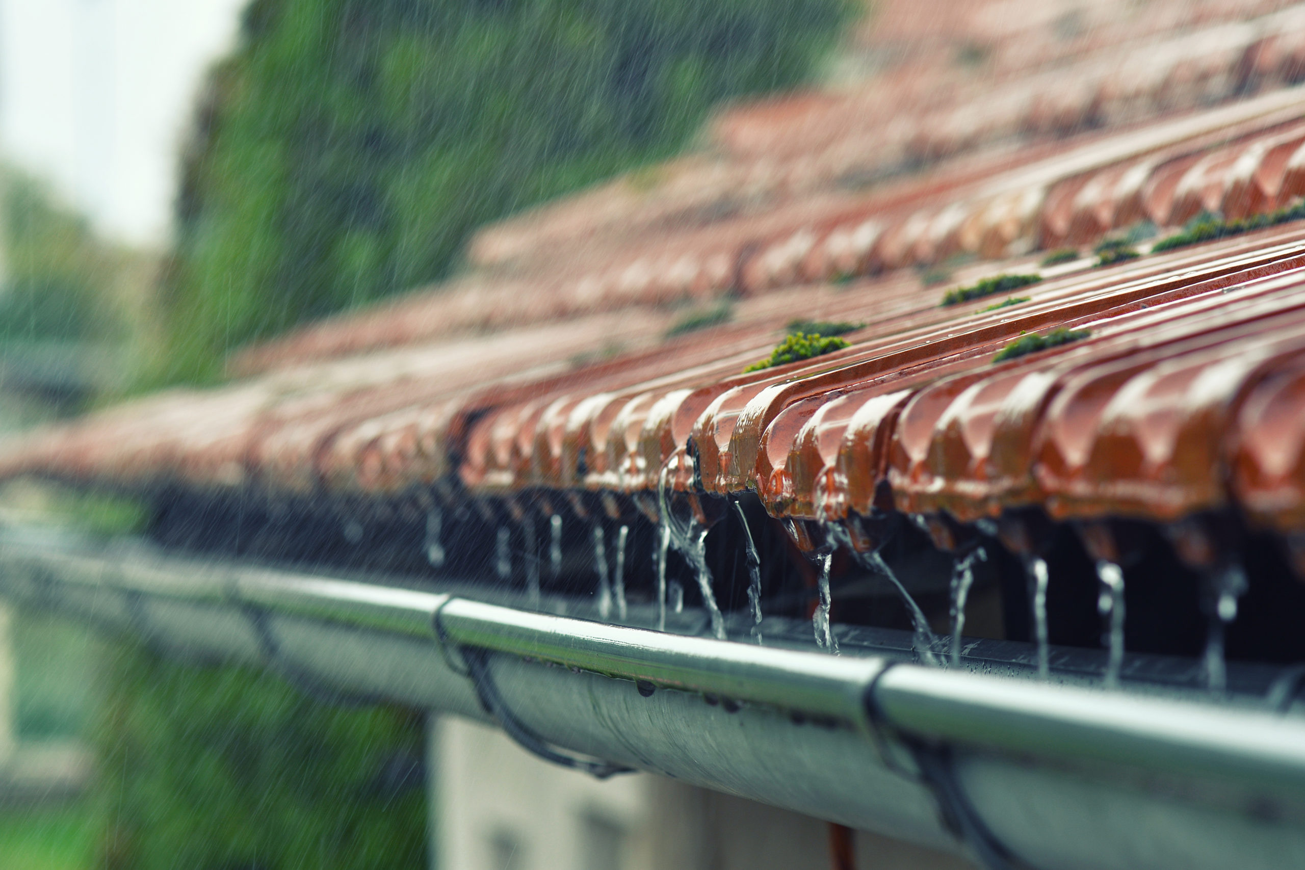 Drops of water flow into the eaves on the house in the rain.