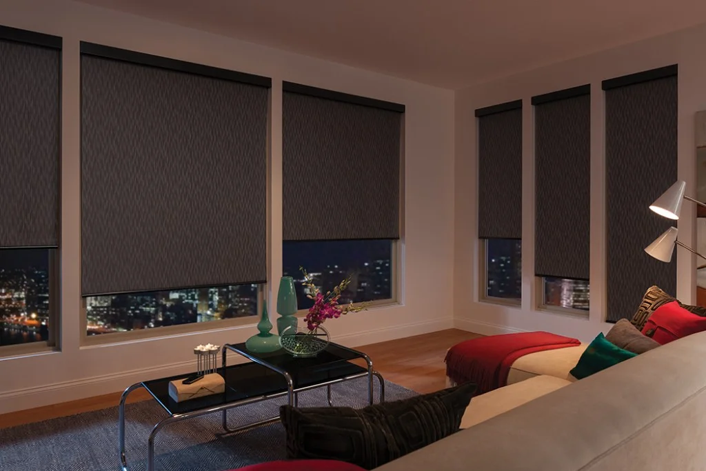 Best Blinds for Privacy 1
