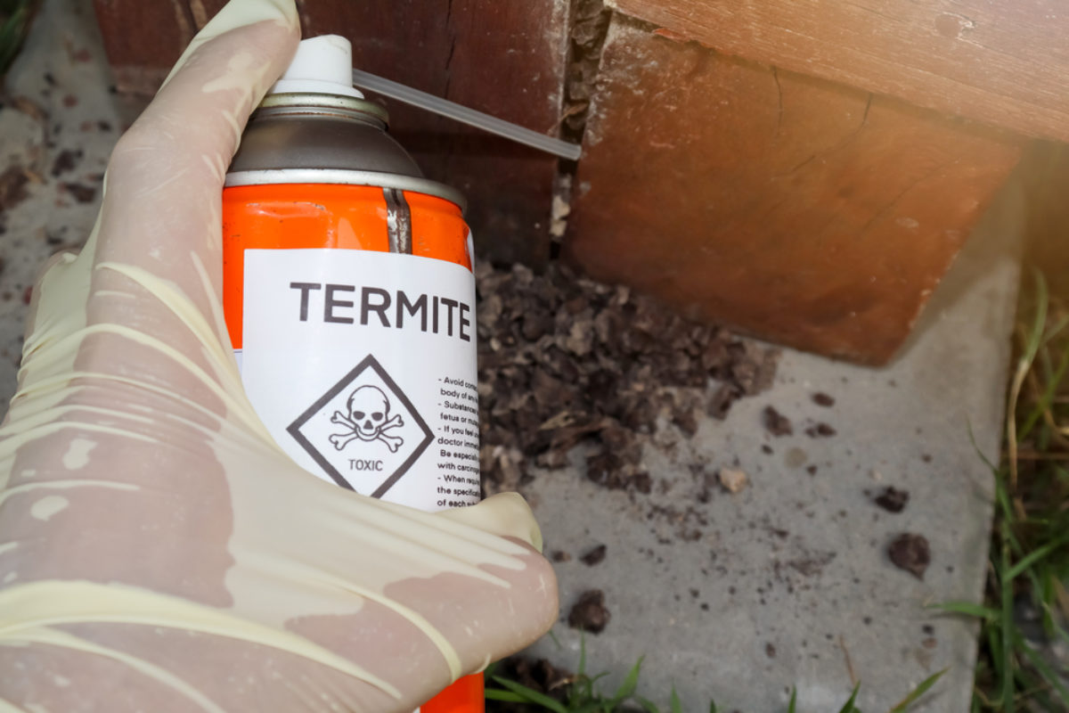 Spray chemicals to kill termites in the wall holes