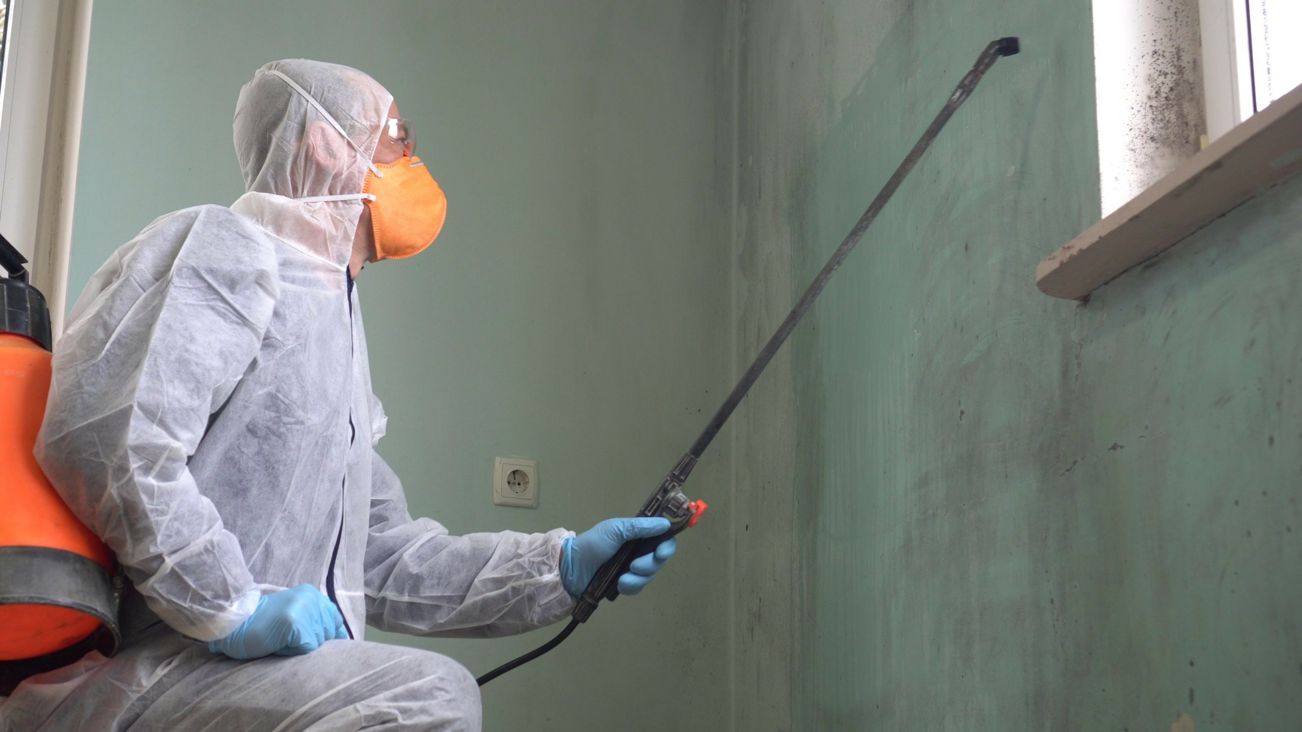 Removing mold.A professional disinfector cleans and sprays the a