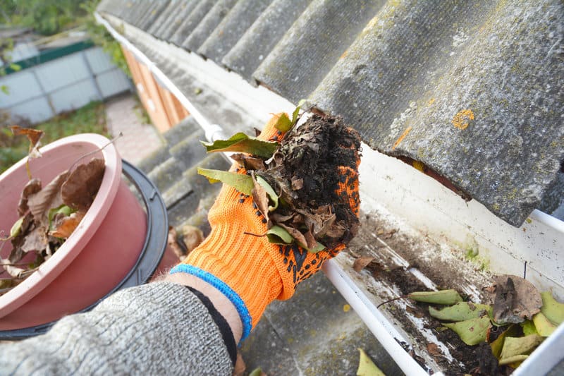 Cleaning Of Gutters