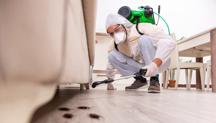 Know About Pest Control 1