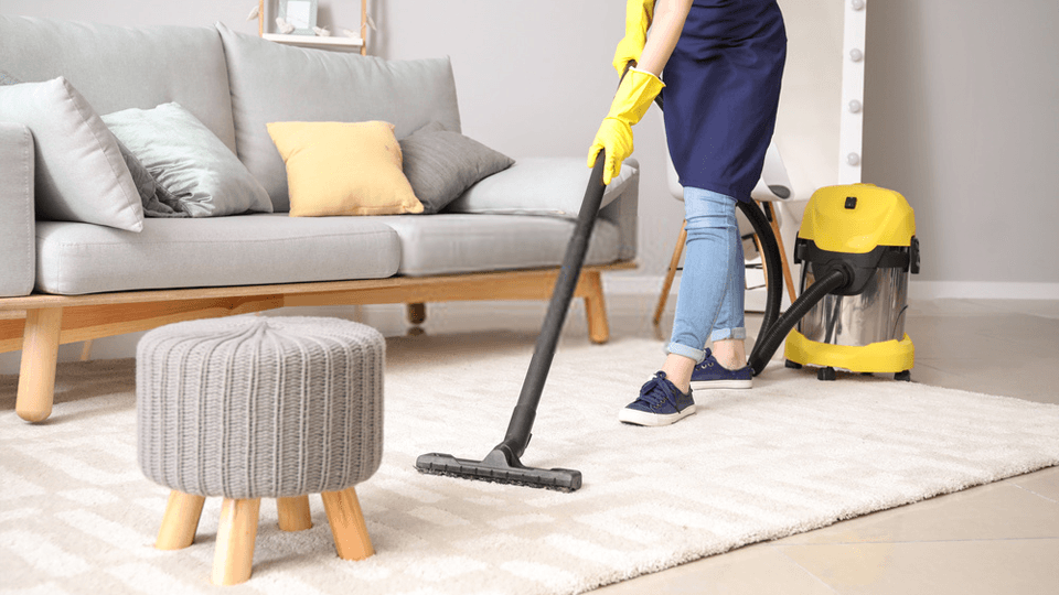 Professional House Cleaning Service 2
