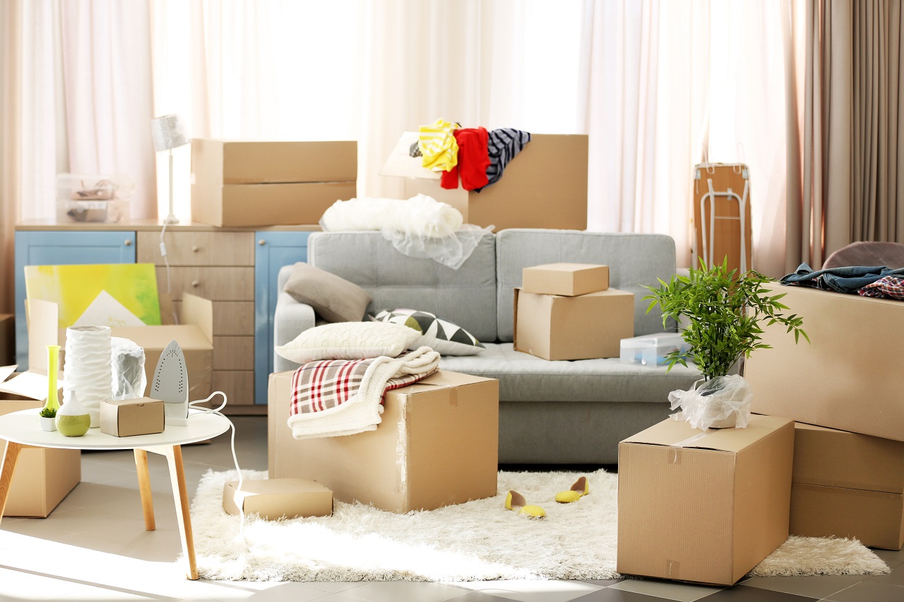 Tips for Planning Your Next Home Move 2