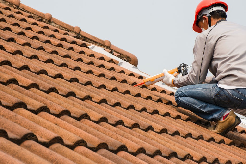 Signs Your Roof Needs Repair 1