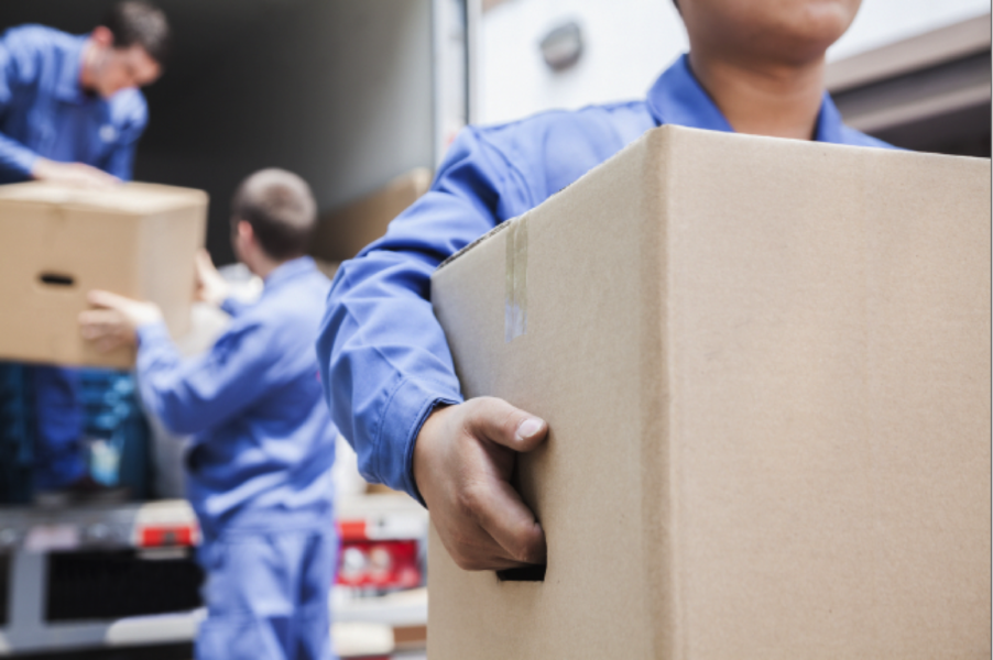 Top Professional Movers 1