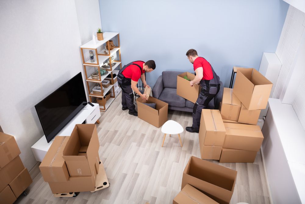 Top Professional Movers 2