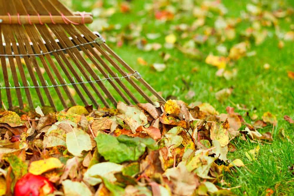Beautiful view of Lawn Winterization Checklist