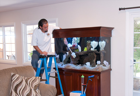 professional aquarium cleaning service 2