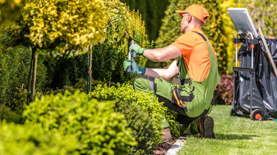 Hiring a Landscaping Service 2