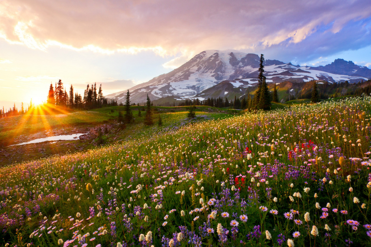 Mount Rainier