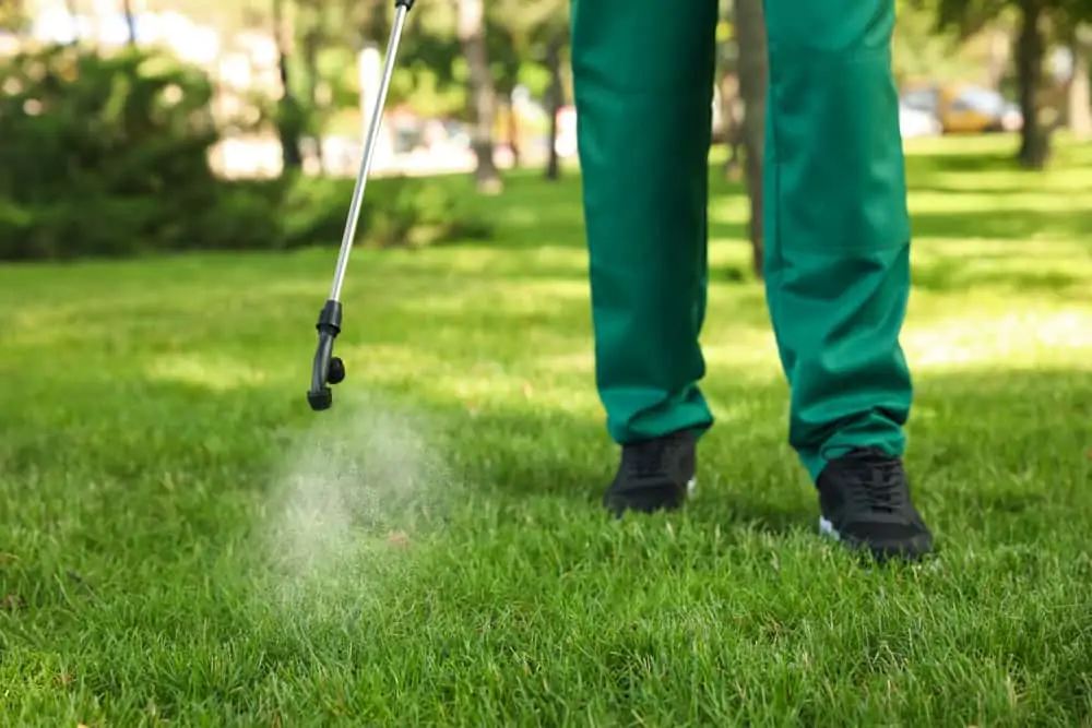 Best-Fungicide-for-Lawns