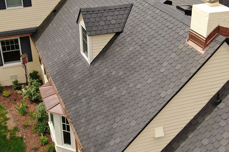 Roof shingles 1