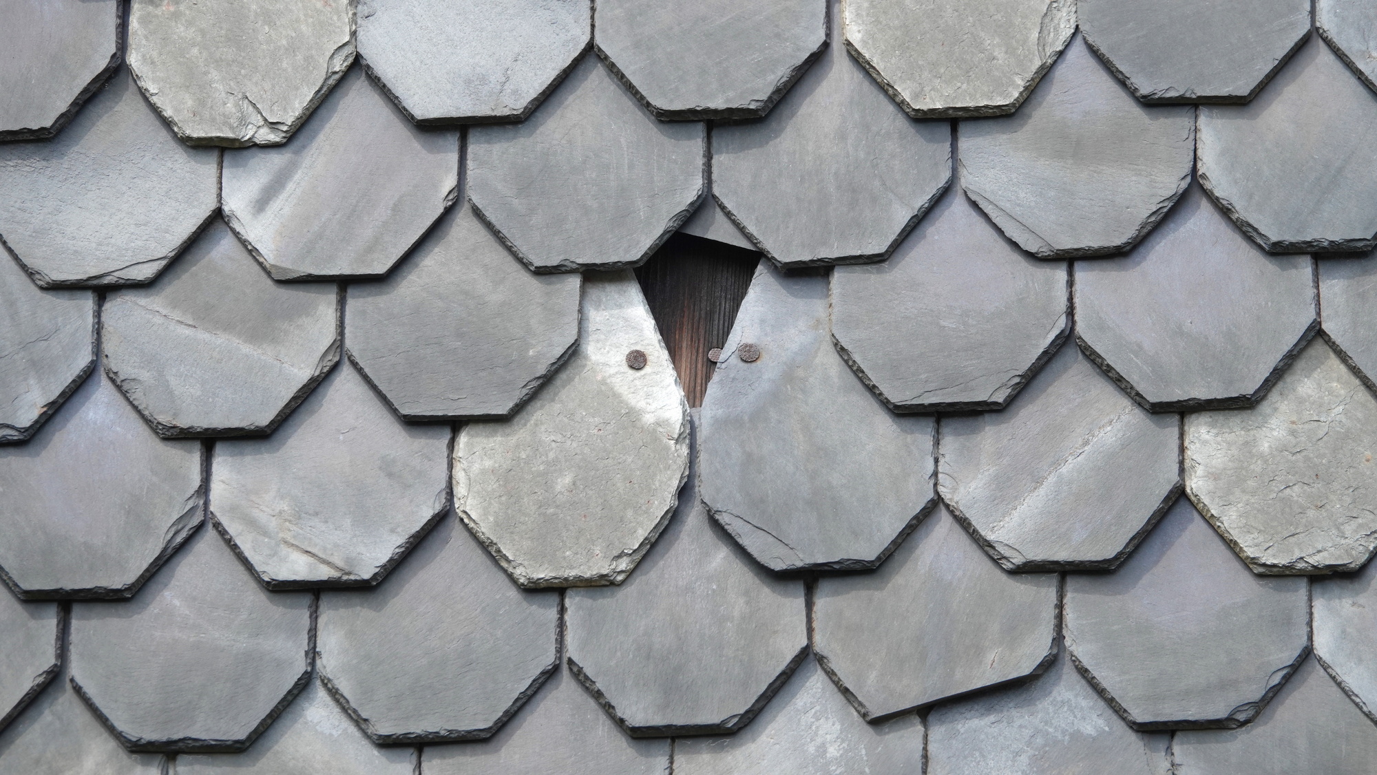 Close up of grey slate roof with missing shingle
