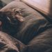 Sleep Quality Is Important 1