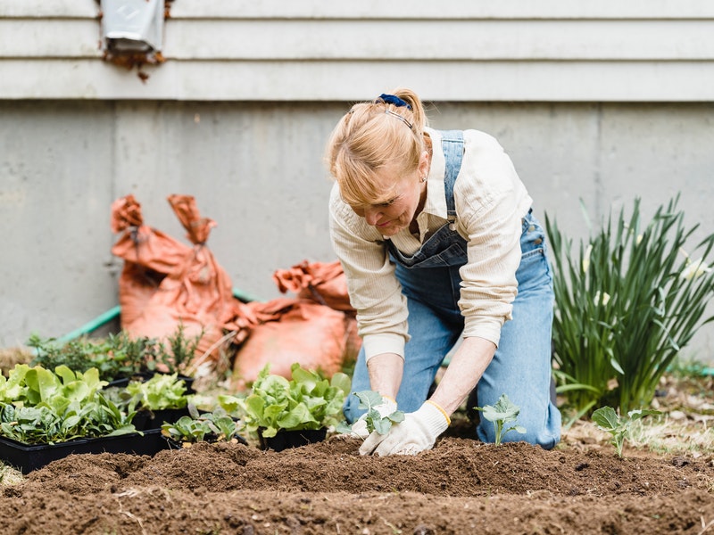Ten Commandments for Micro-Gardening 1