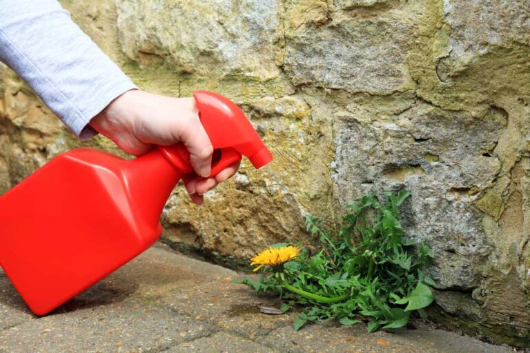 5 Neat Tricks to Keep Your Patio Clean from Weeds 2
