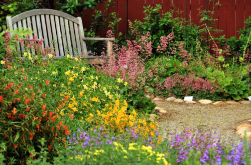 How Pollinator Gardens Save the Environment 2