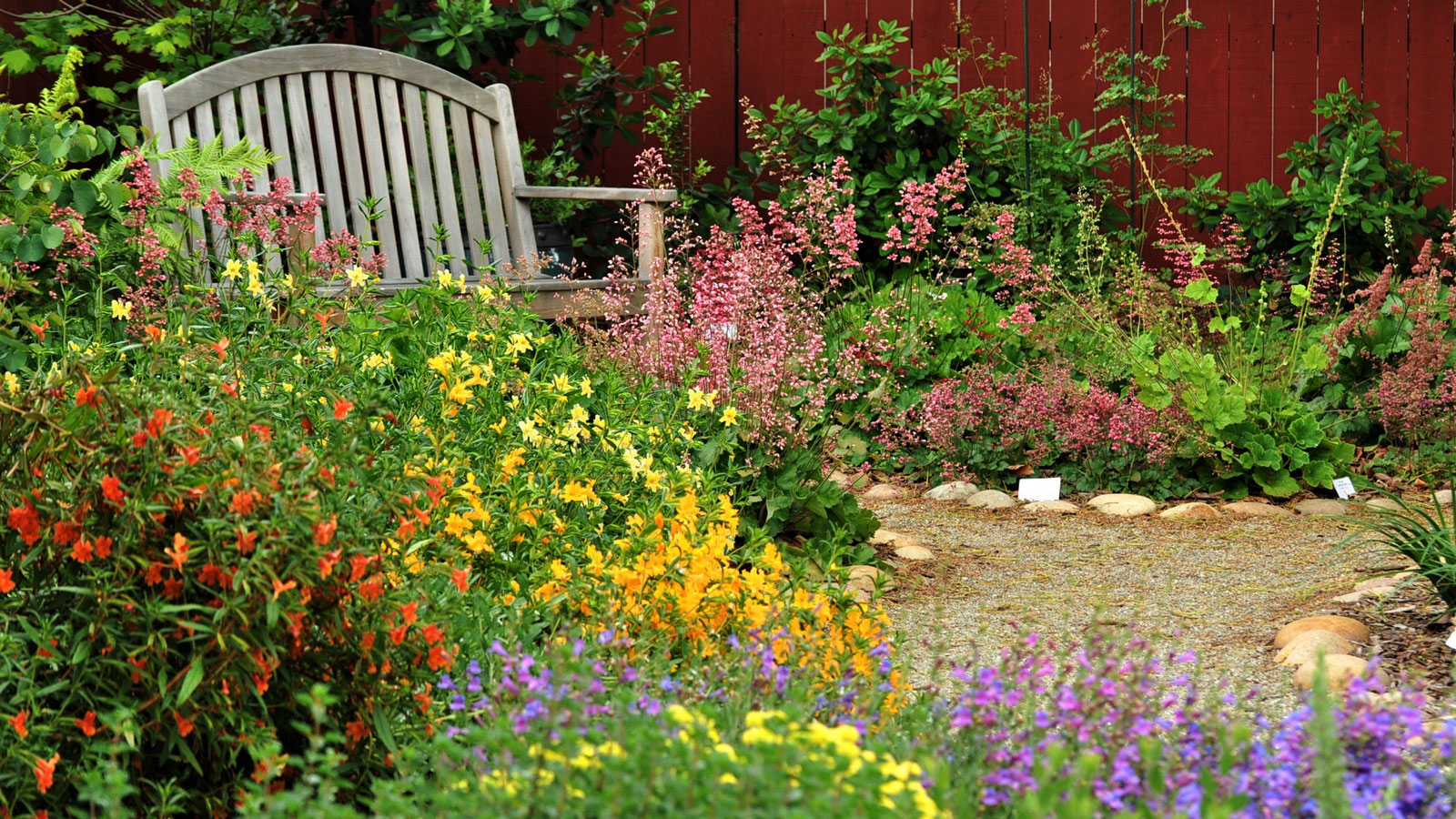 How Pollinator Gardens Save the Environment 2