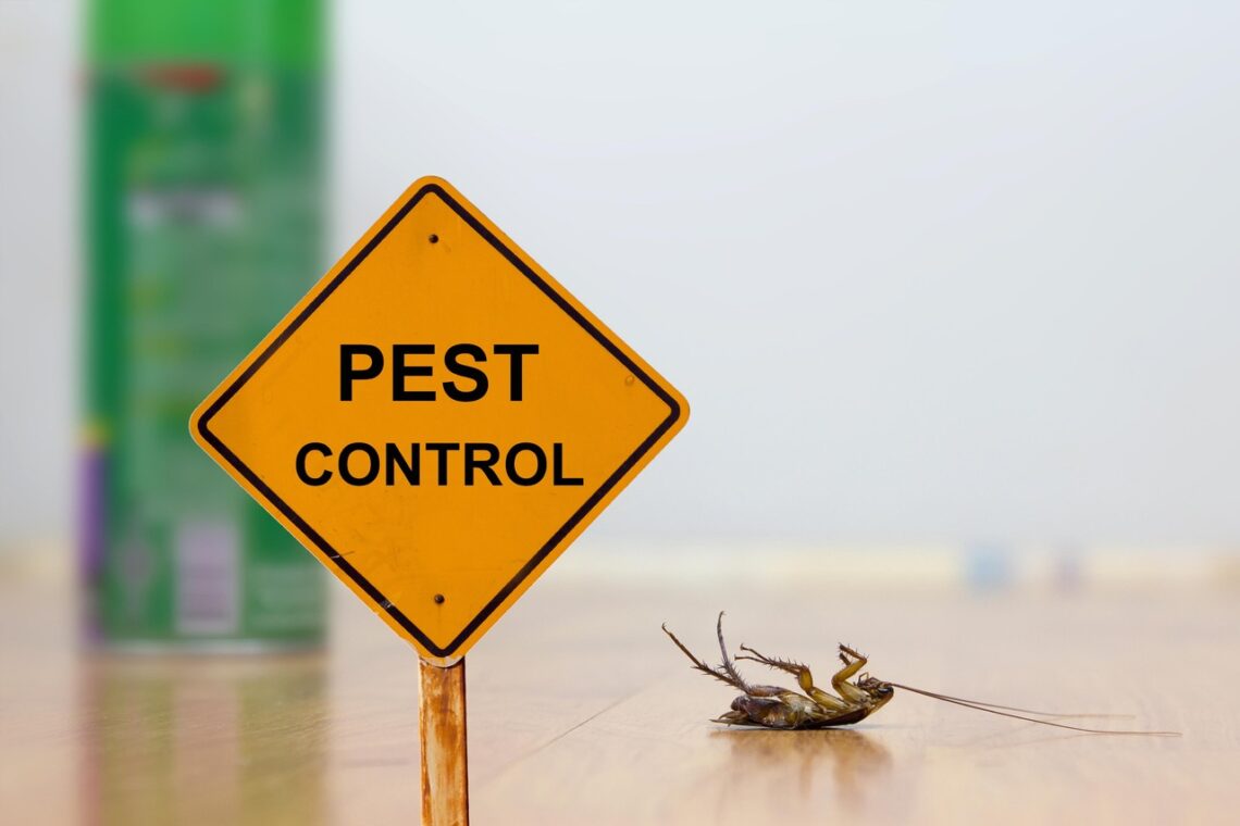 Pest control services 2