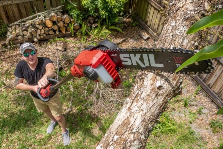 Types Of Chainsaws Explained Home Decor Academy