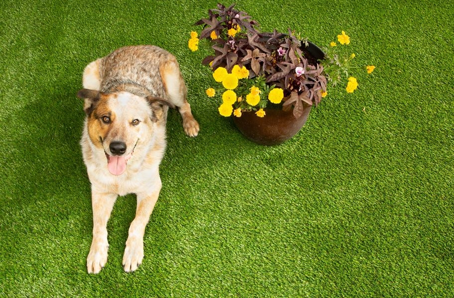 artificial grass for dogs 3