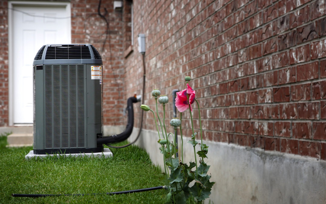 Stay Cool And Comfortable With Heat Pumps In Auckland