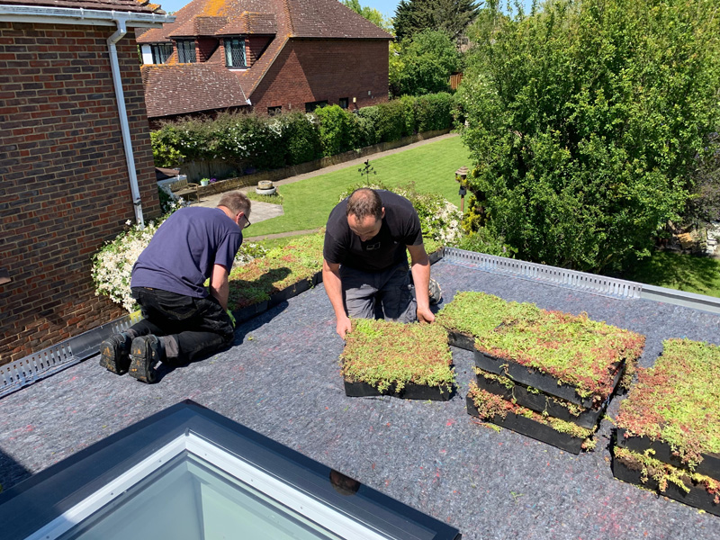 installing a green roof 1