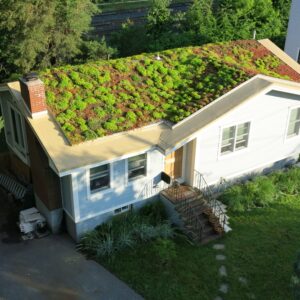 installing a green roof 2
