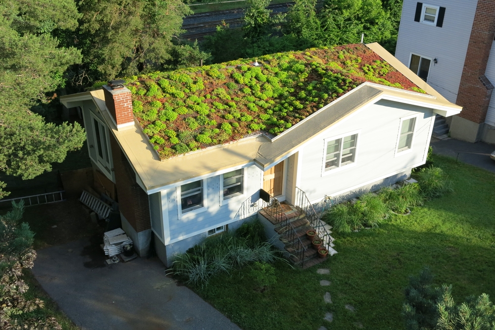 installing a green roof 2