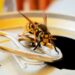 How to Stop Wasps From Coming Back Into Your Home 1