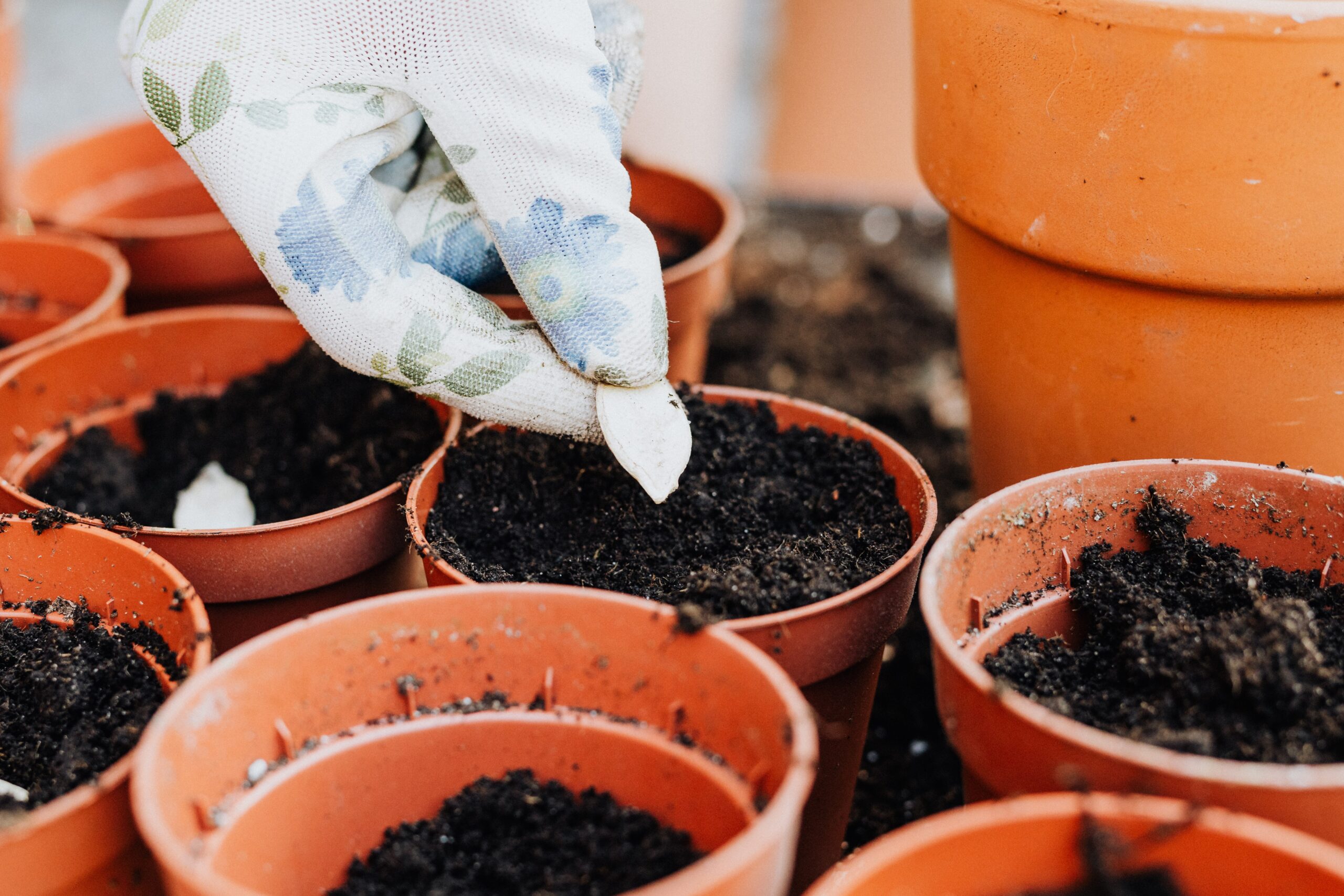 Soil Testing Kit 1