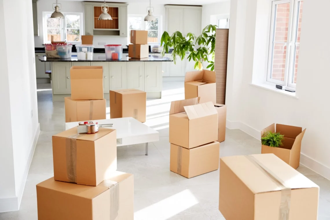 moving company 3