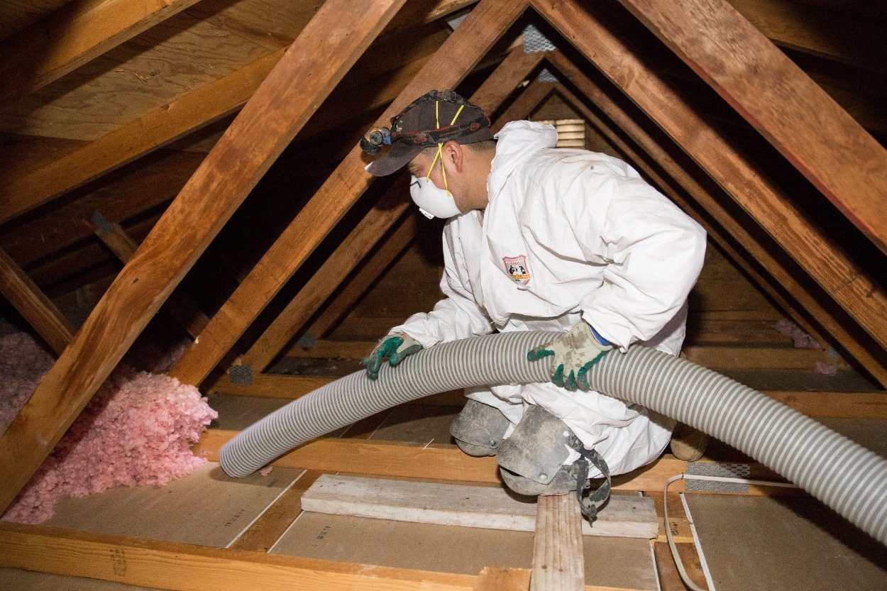 professional attic cleaning 2