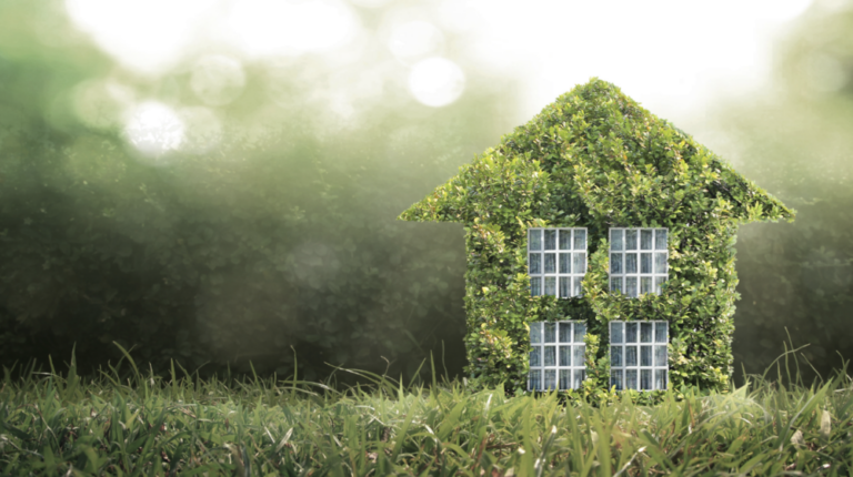 Going Green at Home: Tips for a Sustainable and Eco-Friendly Lifestyle