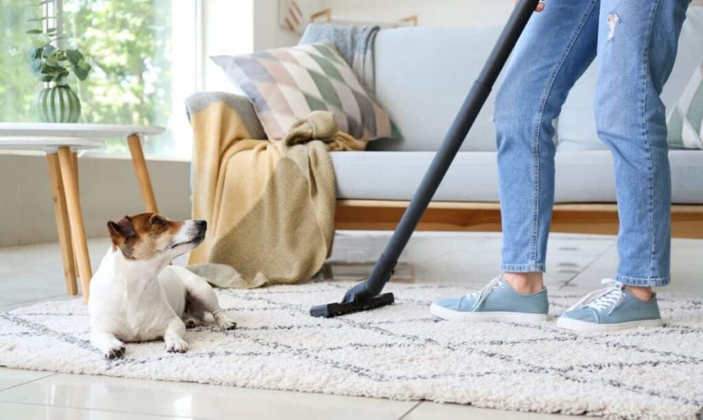 Home Cleaning Tips for Pet Owners 3