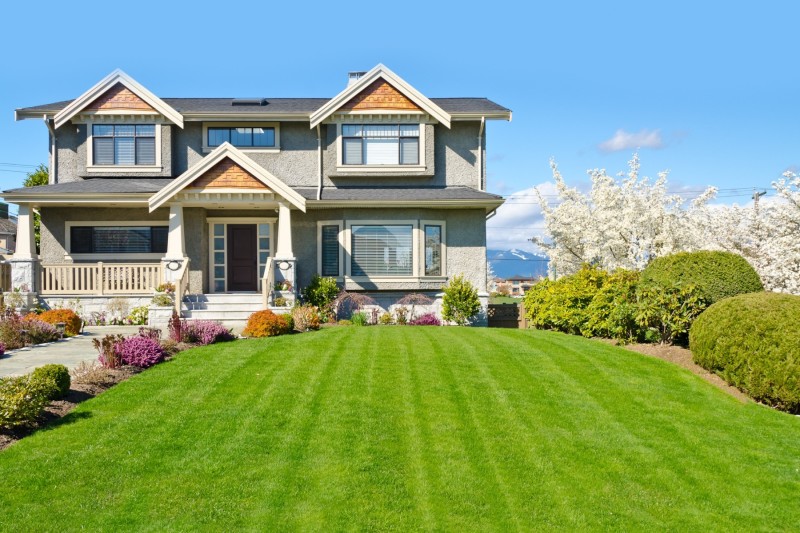 Maintaining a healthy lawn 2