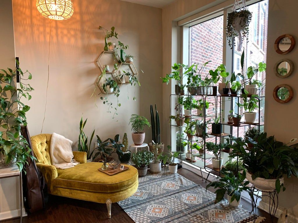 Plants For Your Modern Flat 2