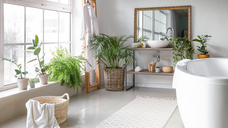 Stylish,Interior,Of,Bathroom,With,Green,Houseplants