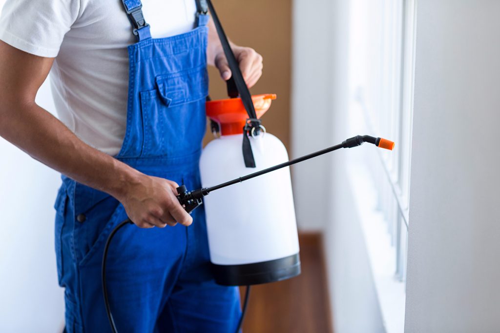 Choosing a Pest Control Provider 2