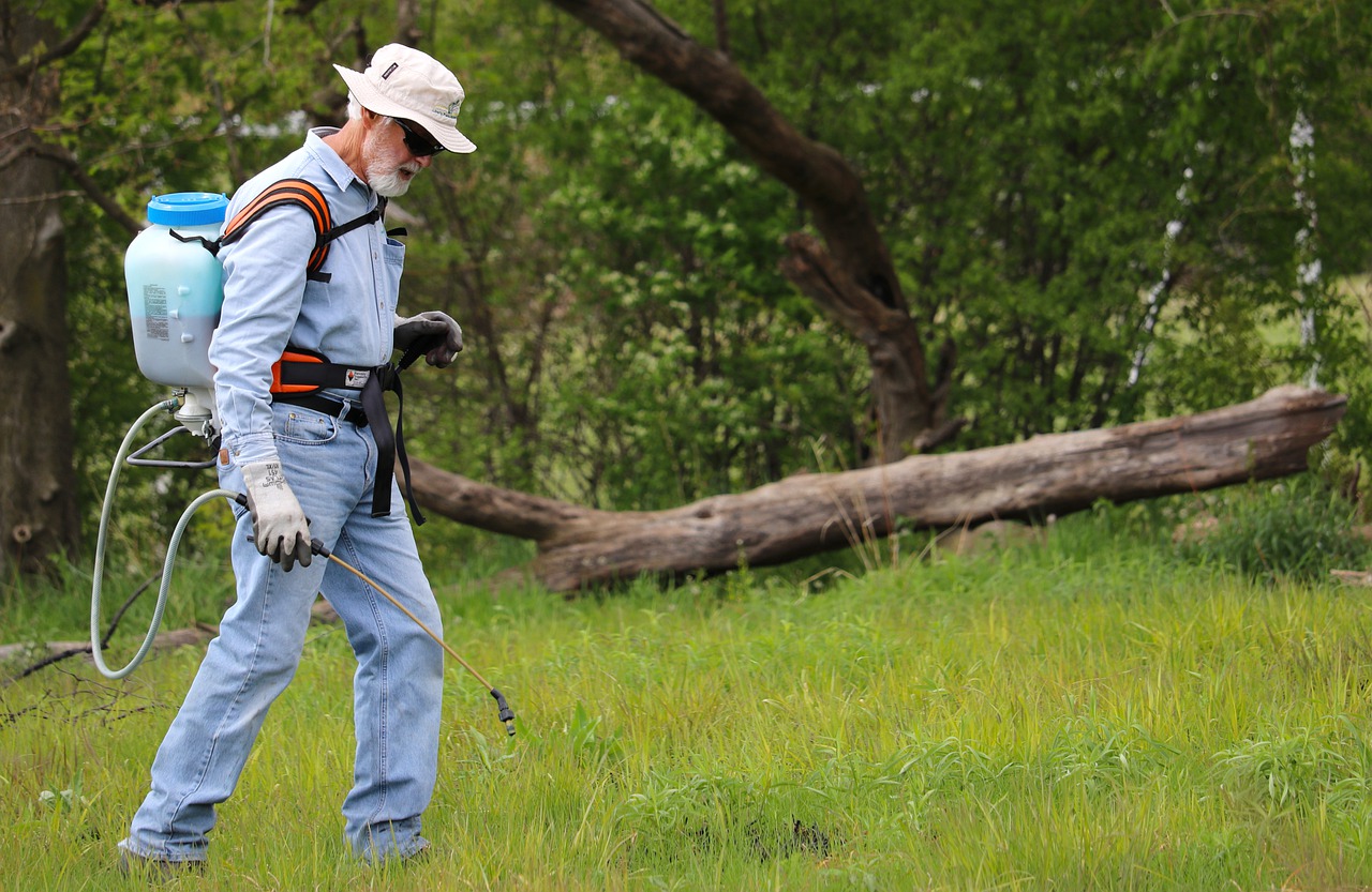 Hiring a weed control company 1