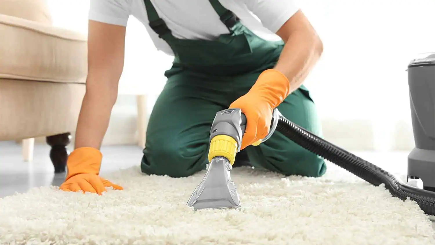 Professional carpet cleaning