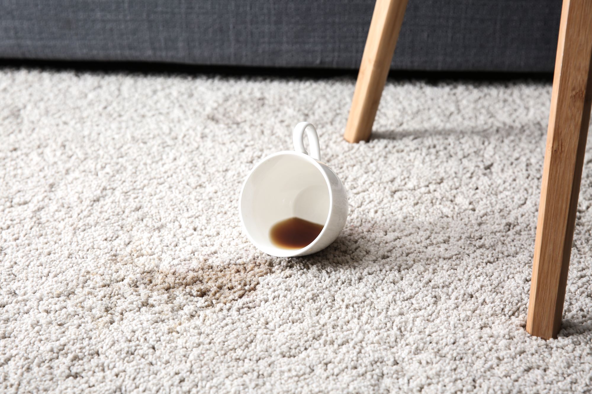 Remove Stains From Your Rug 2