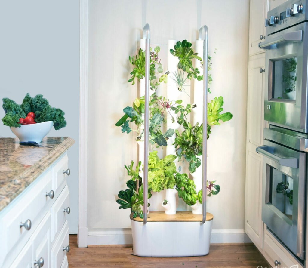 Grow Plants Easily with Water-Based Nutrient Solutions