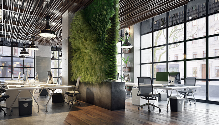 Creating An Environmentally Friendly Office 1