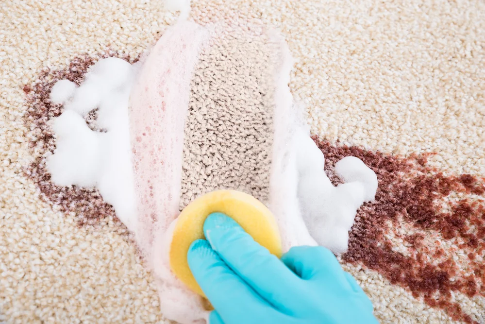 Effective Methods of Stain Removal 1