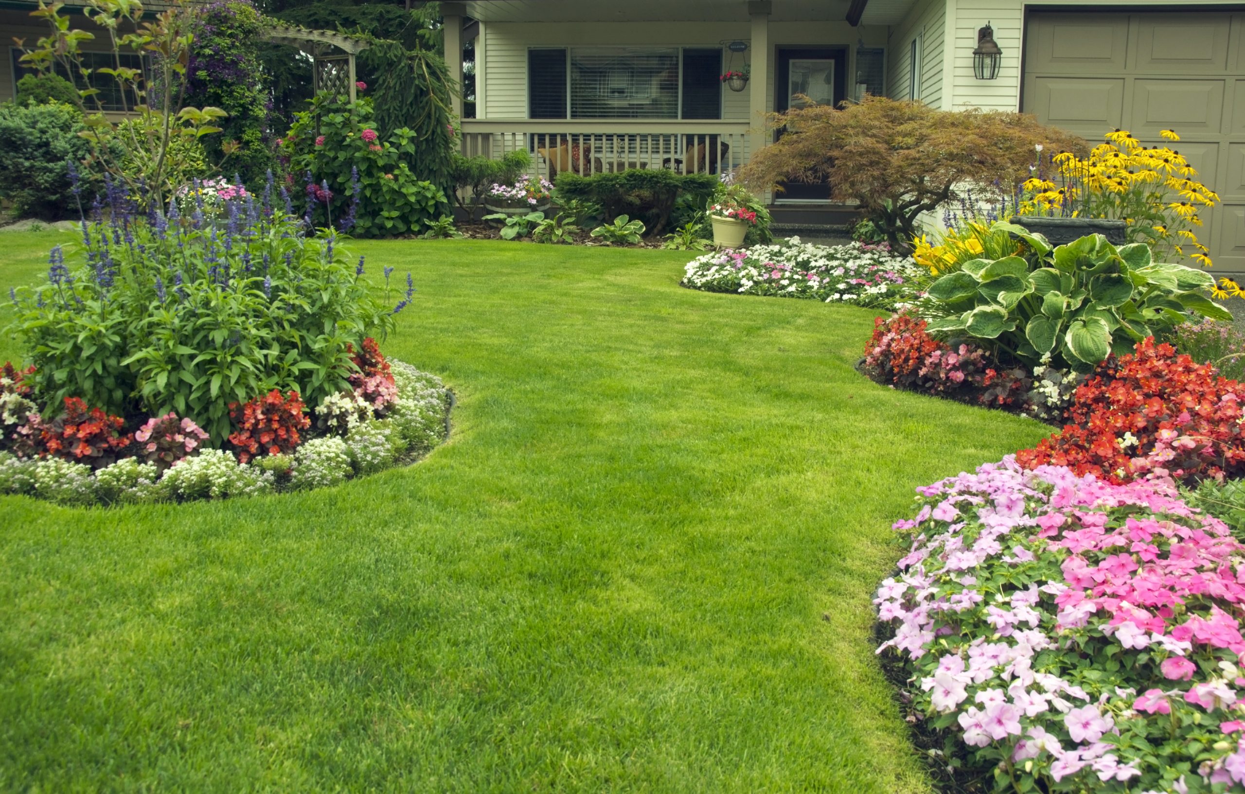 Elevate Your Landscape 2