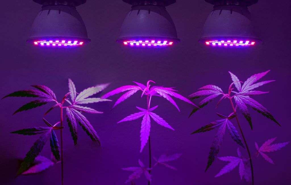 Hang Grow Lights Properly 1