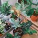 Transform Your Home 1